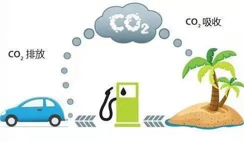 最近常听到的碳达峰和碳中和是什么意思？为此我们要怎么做