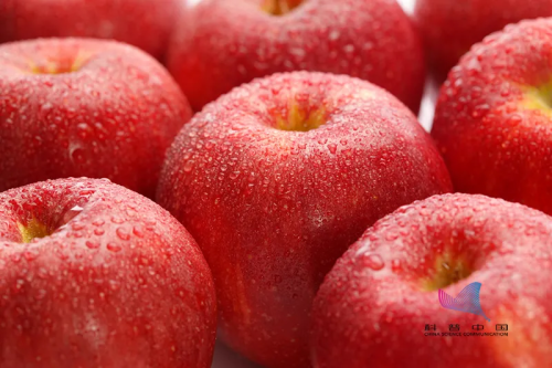 早上金苹果，中午银苹果，晚上毒苹果(什么时候吃苹果最好？)