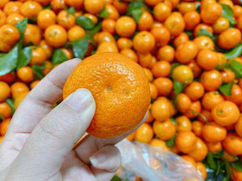 为什么砂糖橘会上瘾停不下来？(吃多