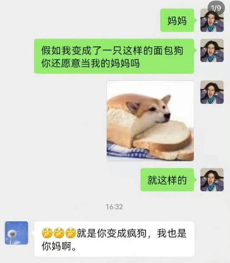 “面包狗”梗是什么意思(面包狗梗的含义和出处)