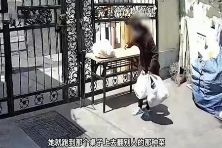 上海网上抢菜被大妈偷走还被倒打一耙 具体发生了什么详情介绍