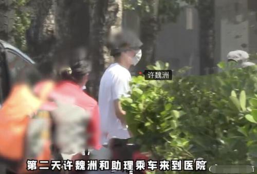 许魏洲和谁结的婚(许魏洲多少岁个人资料简介)