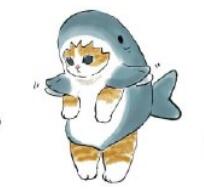 鲨鱼小猫头像情头图及出处