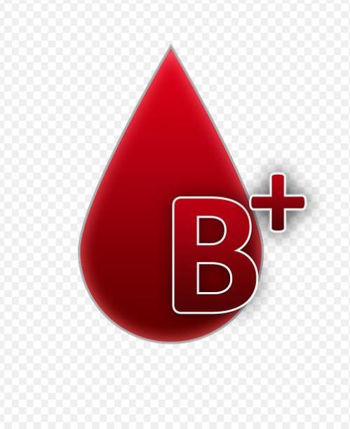 B型血为什么叫贵族血(B型血的人适合做哪些工作)