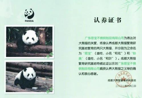 大熊猫可以认养吗多少钱一年的费用？可以把认养的熊猫是带回家吗？