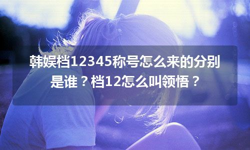 韩娱档12345称号怎么来的分别是谁？档12怎么叫领悟？