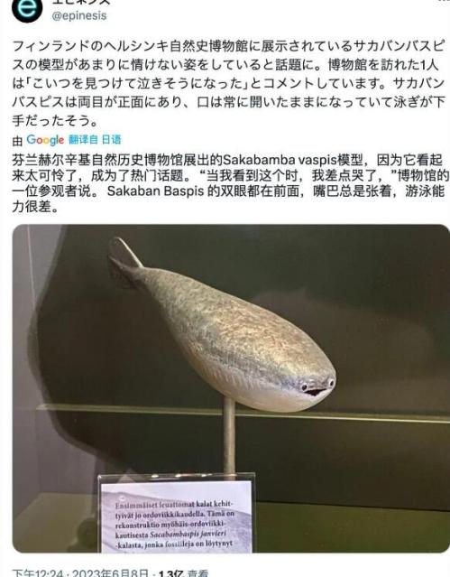 萨卡班甲鱼是否灭绝了？死于4.68亿年前奥陶纪大灭绝