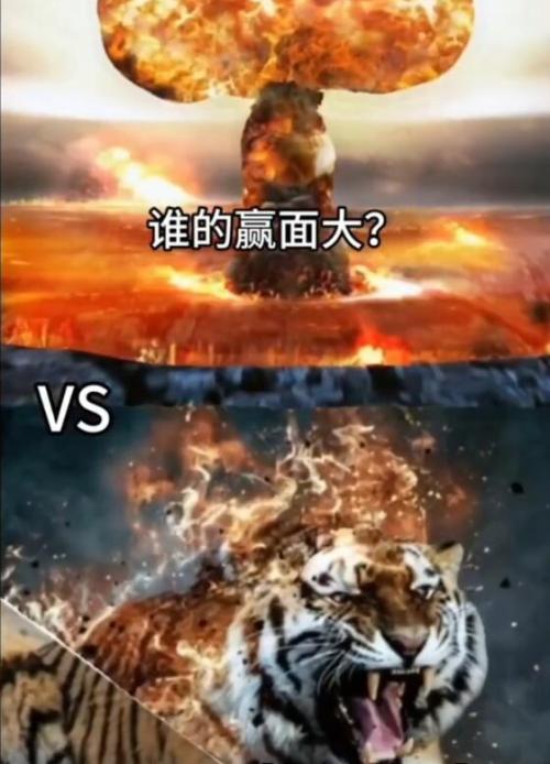 一整只老虎是什么梗？一整只老虎会被核弹炸死吗？
