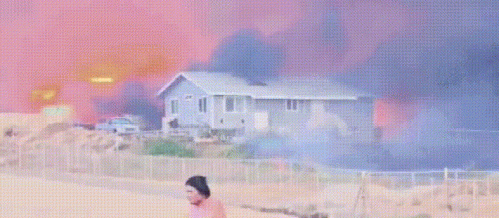 夏威夷大火是什么原因发生的？起因来源揭秘