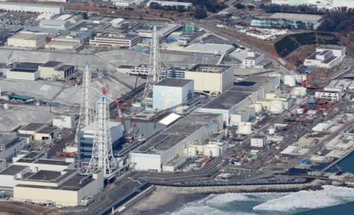 日本核污水会让全人类死掉毁灭人类吗？日本核污染数据造假危害极大！