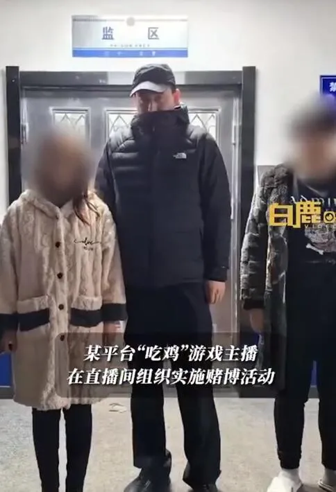 轻语619怎么不直播被永封了，她为什么被抓？